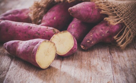 Batata doce